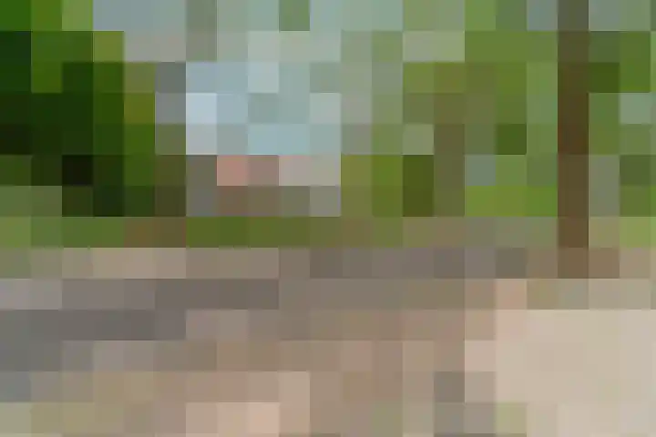 Tolhuis 4215 Nijmegen thumbnail 34
