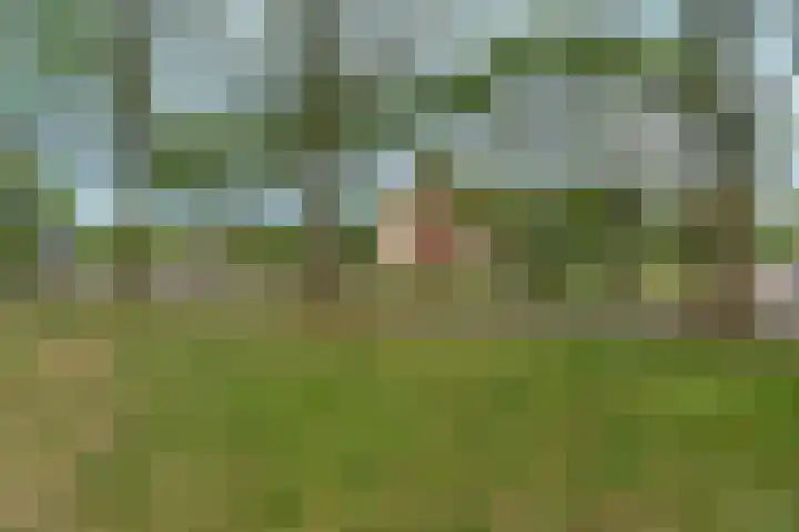 Tolhuis 4215 Nijmegen thumbnail 35