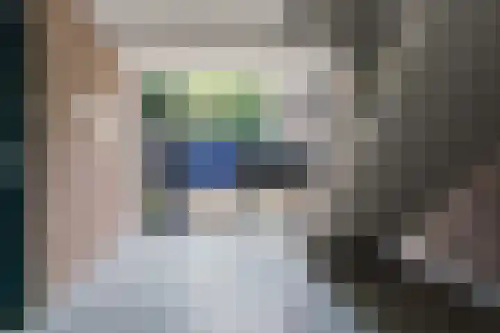Tolhuis 4215 Nijmegen thumbnail 38