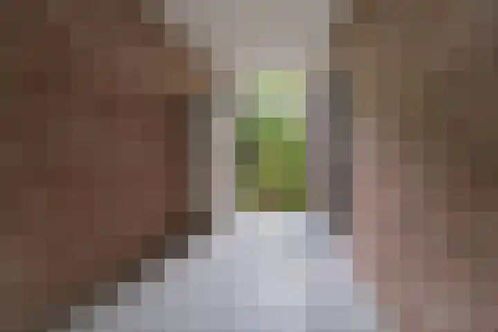 Tolhuis 4215 Nijmegen thumbnail 39