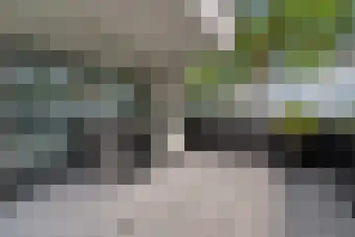 Tolhuis 4215 Nijmegen thumbnail 5