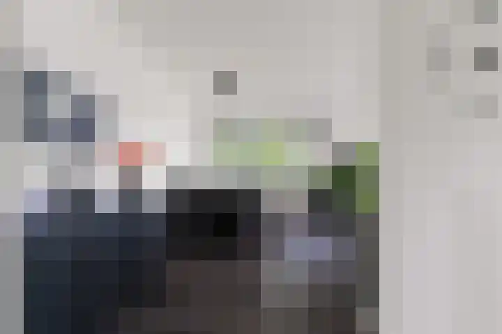 Tolhuis 4215 Nijmegen thumbnail 6