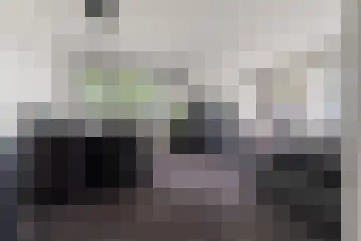 Tolhuis 4215 Nijmegen thumbnail 7