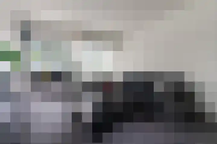 Tolhuis 4215 Nijmegen thumbnail 8