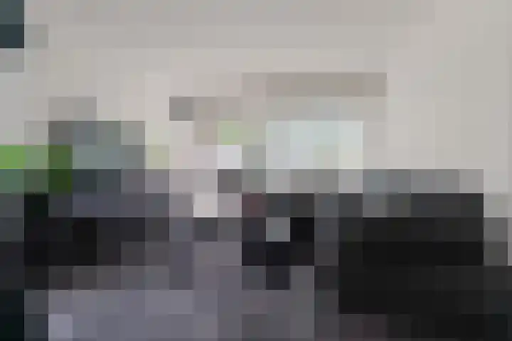 Tolhuis 4215 Nijmegen thumbnail 9