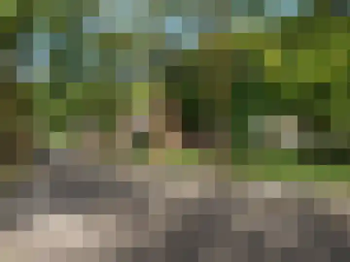 Tolhuis 4217 Nijmegen thumbnail 15