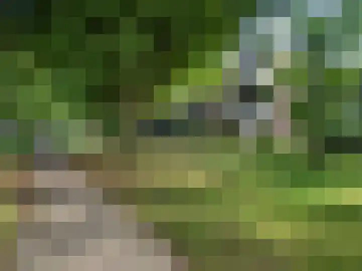 Tolhuis 4217 Nijmegen thumbnail 17