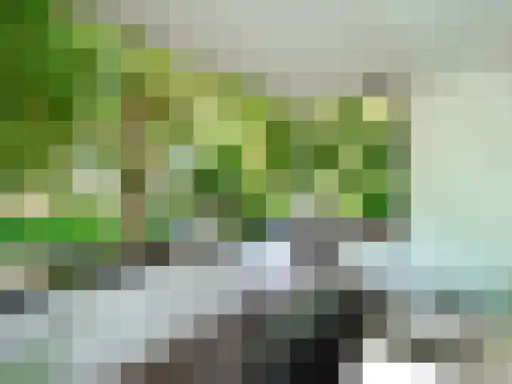 Tolhuis 4217 Nijmegen thumbnail 4