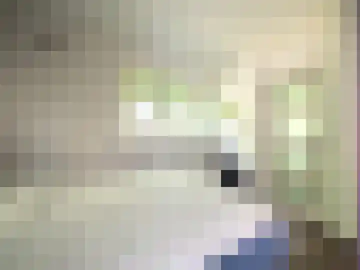 Tolhuis 4217 Nijmegen thumbnail 7