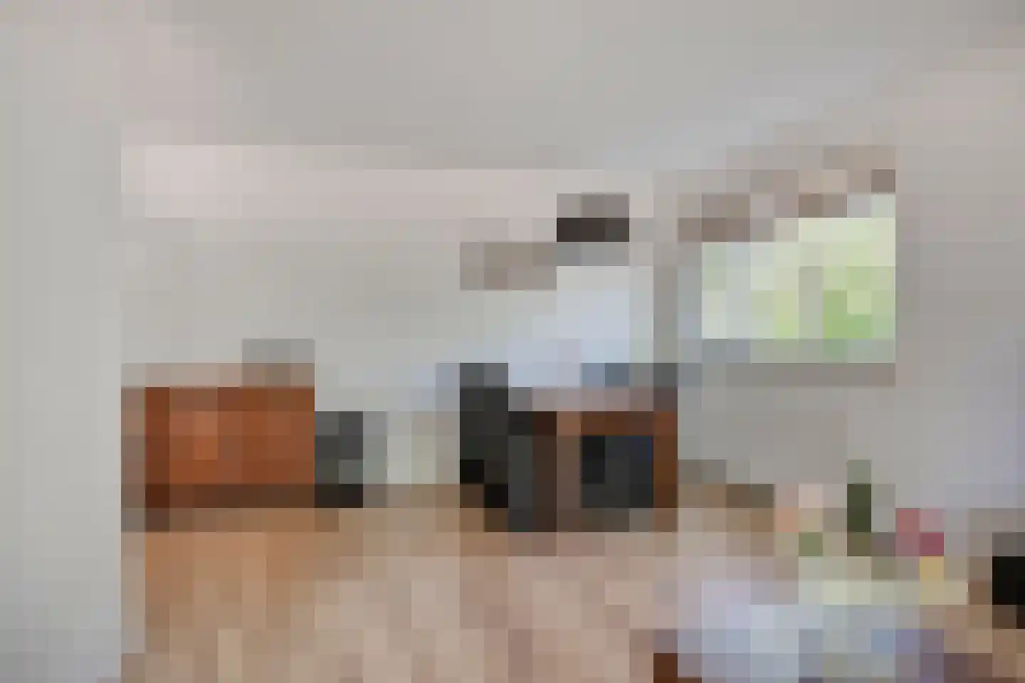 Tolhuis 4227 Nijmegen thumbnail 11
