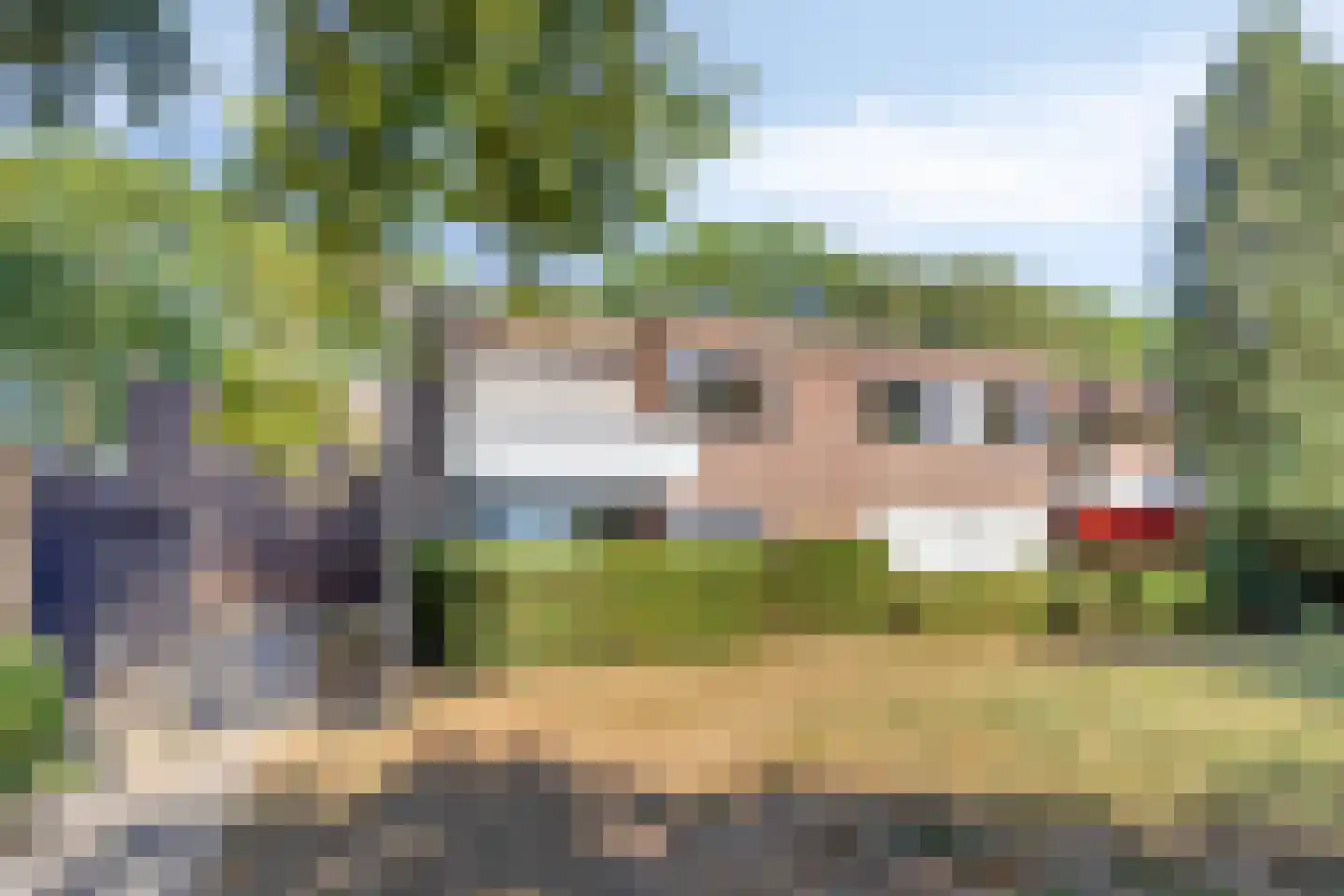 Tolhuis 4227 Nijmegen thumbnail 30