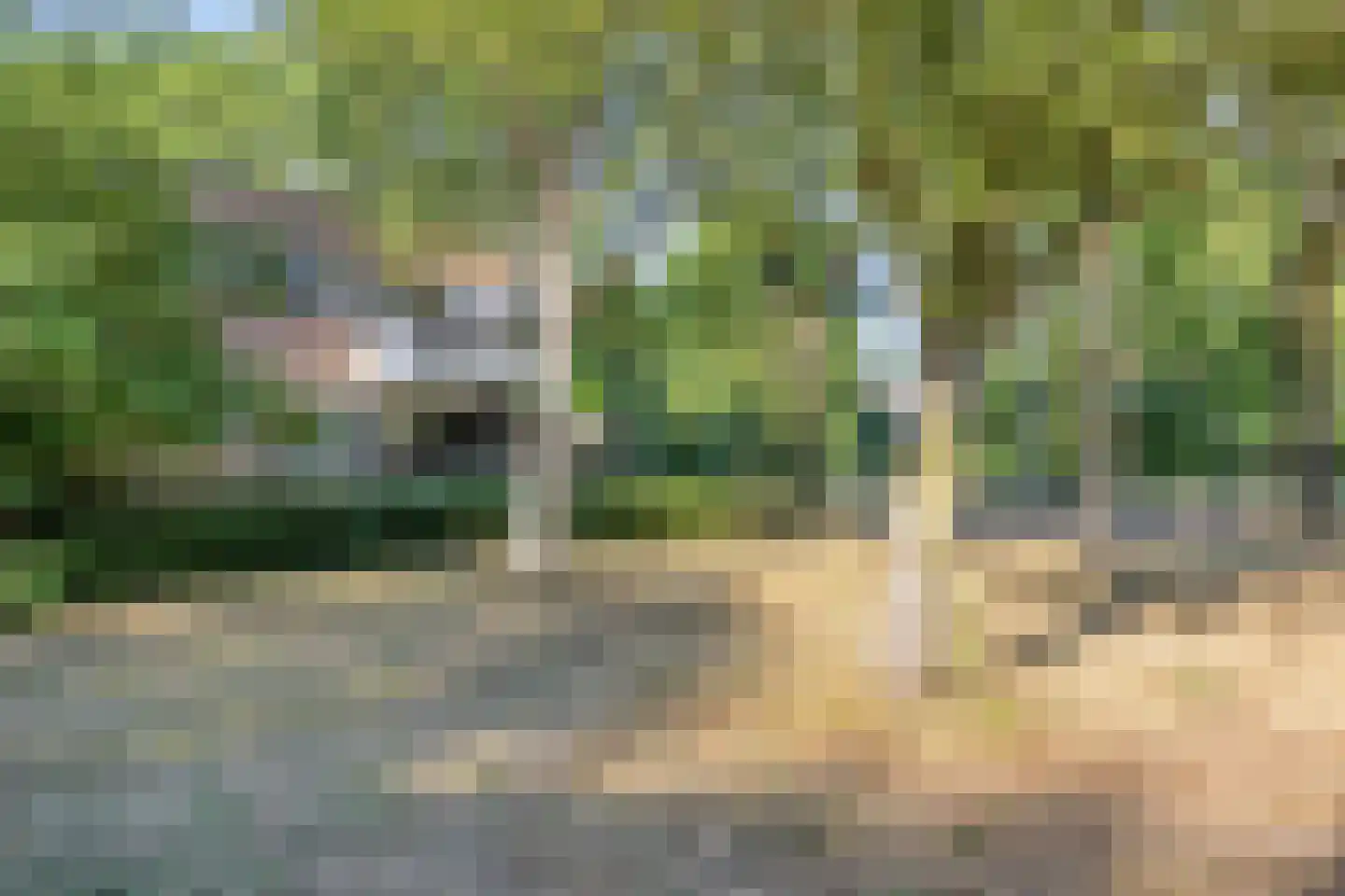 Tolhuis 4227 Nijmegen thumbnail 32