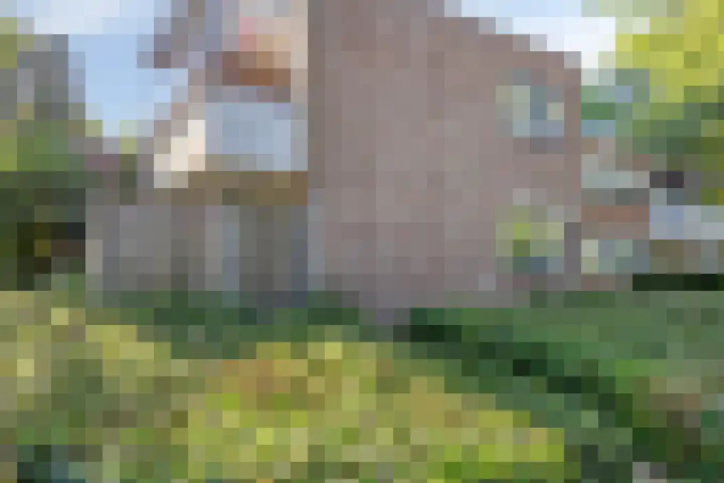 Tolhuis 4227 Nijmegen thumbnail 33