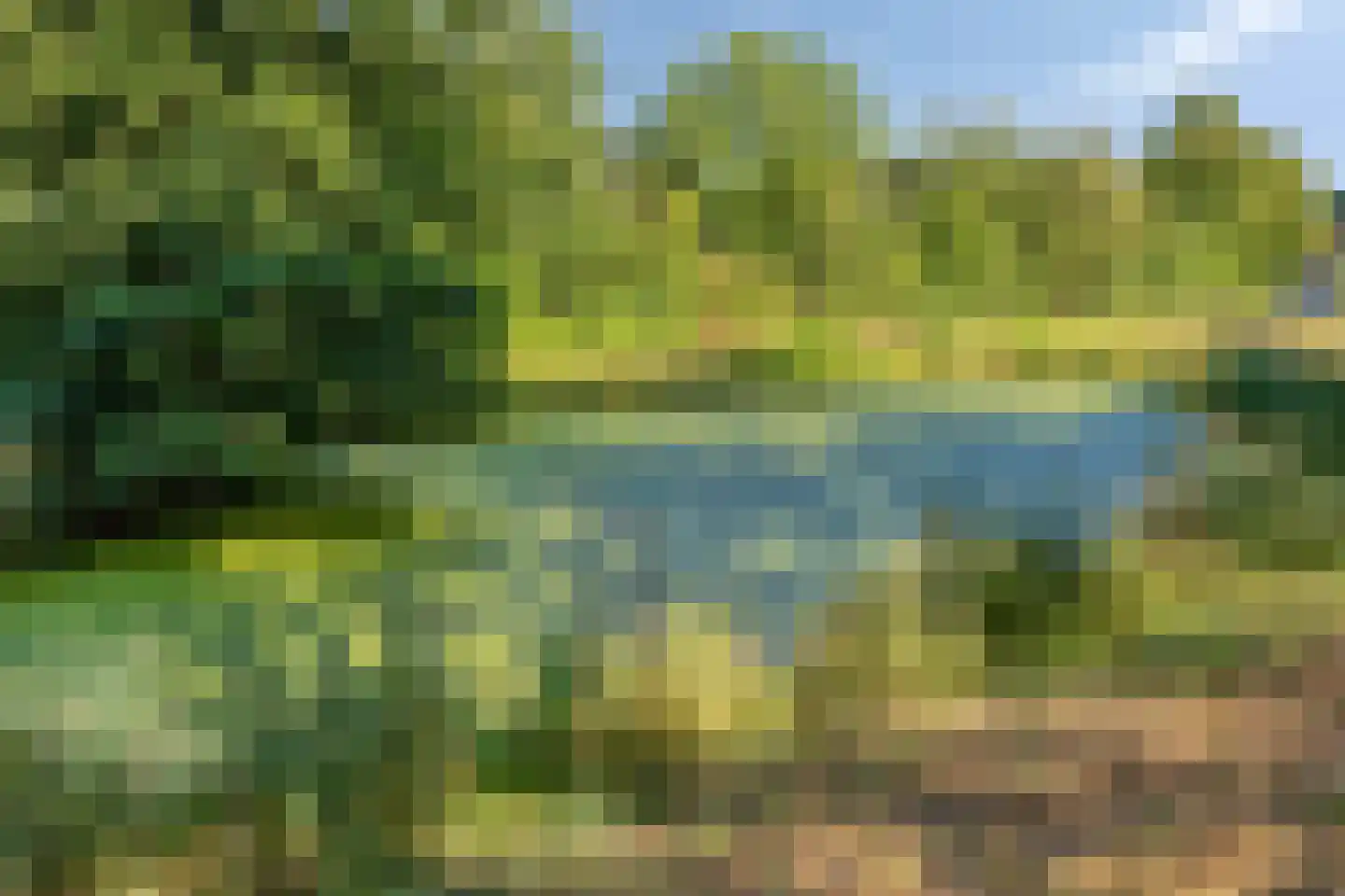 Tolhuis 4227 Nijmegen thumbnail 35