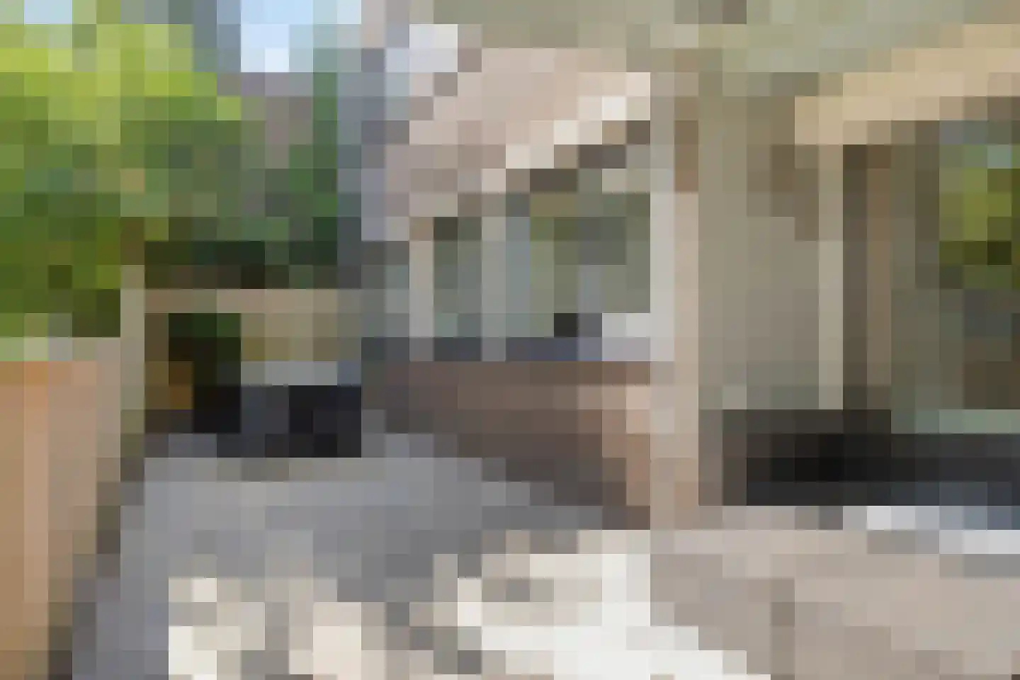 Tolhuis 4227 Nijmegen thumbnail 4