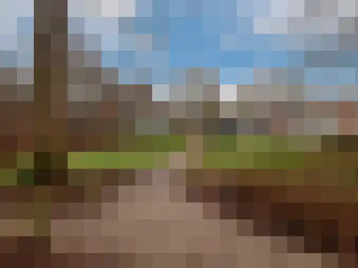 Tolhuis 4245 Nijmegen thumbnail 17