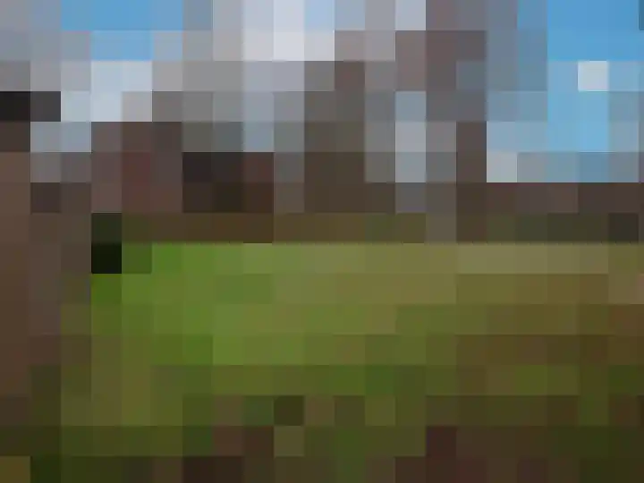 Tolhuis 4245 Nijmegen thumbnail 18
