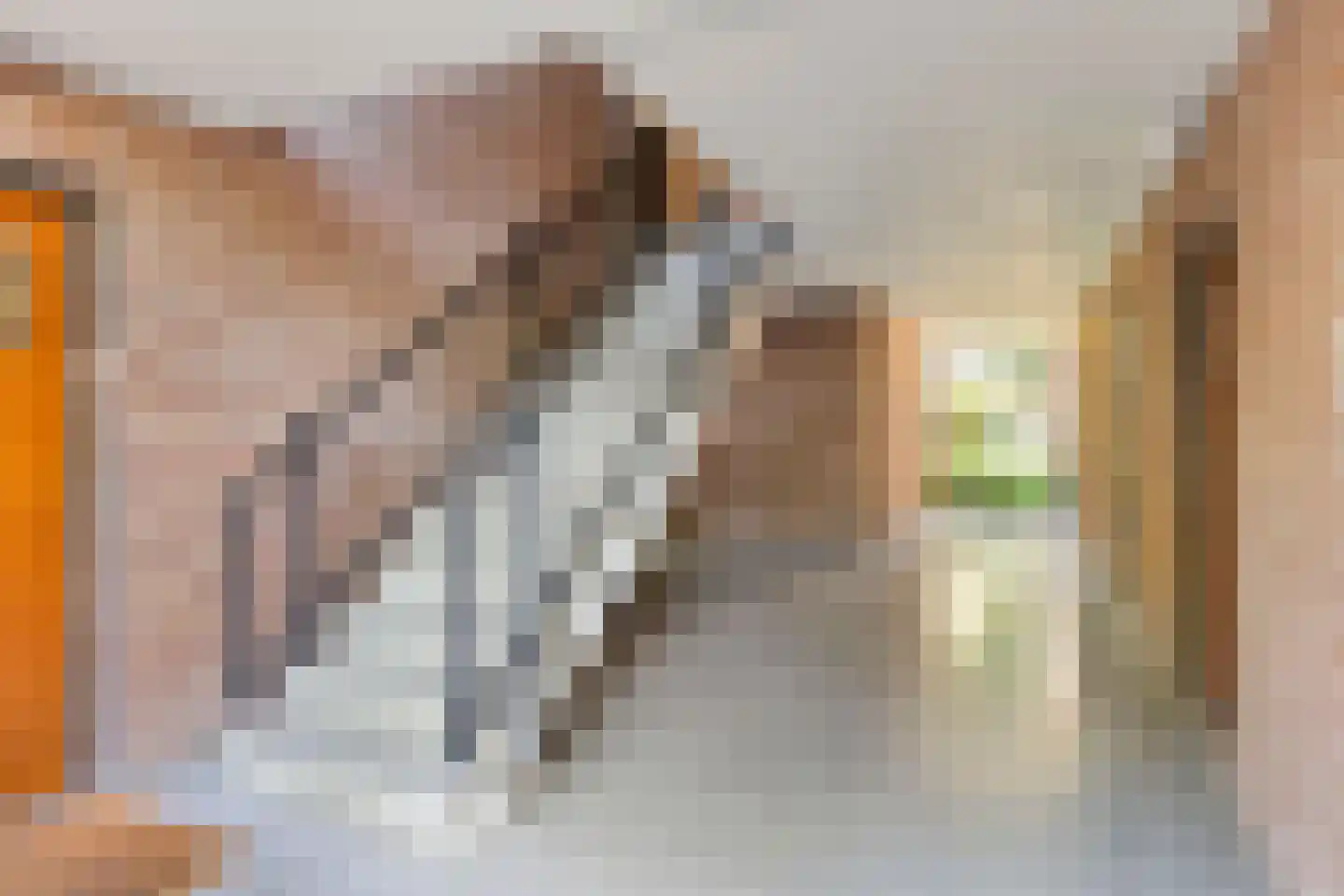 Tolhuis 4273 Nijmegen thumbnail 12