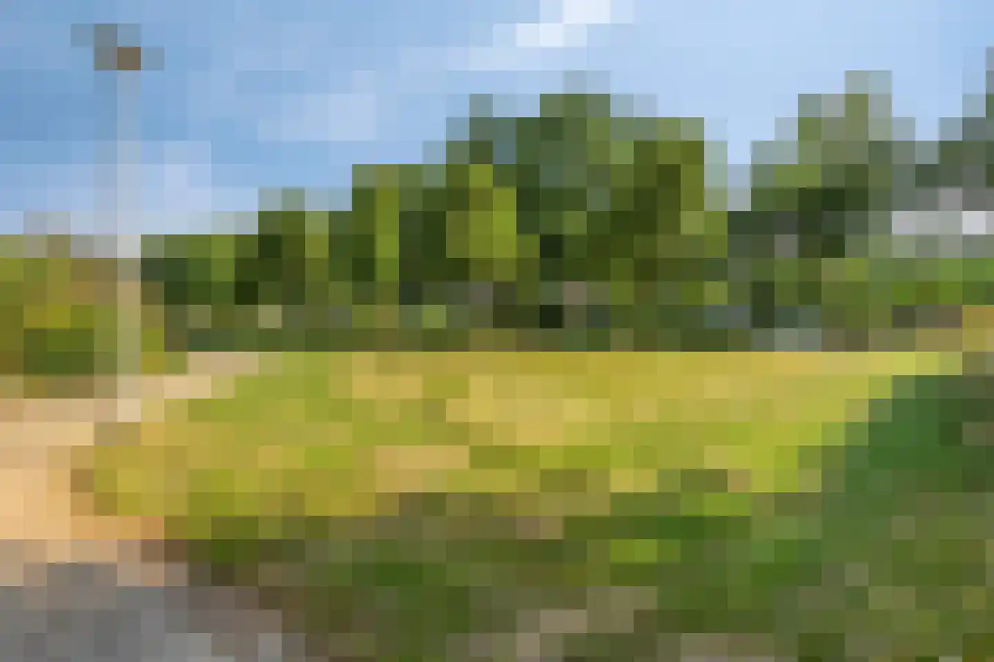 Tolhuis 4273 Nijmegen thumbnail 17