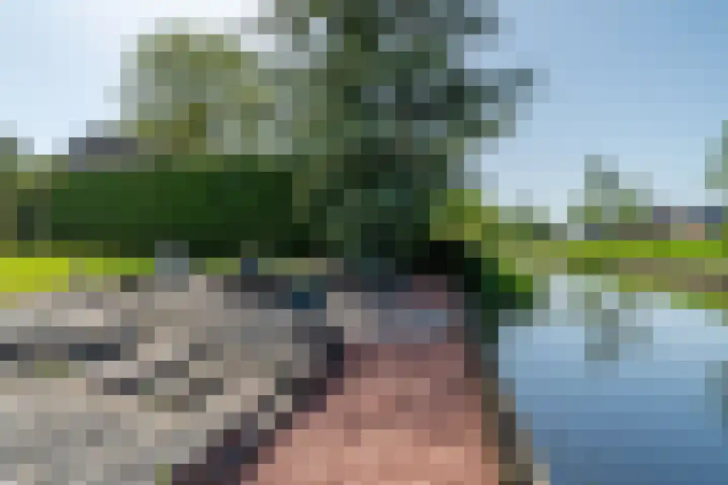 Tolhuis 52 A Kollum thumbnail 39