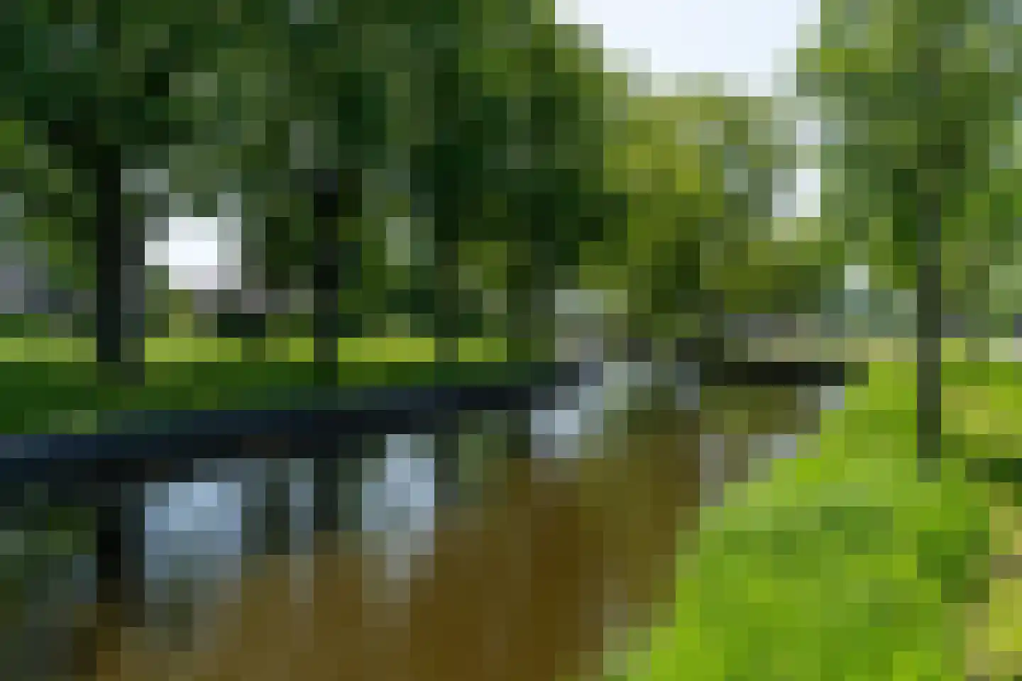 Tolhuis 52 A Kollum thumbnail 42