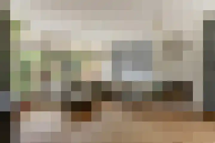 Tolhuis 6142 Nijmegen thumbnail 11