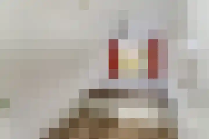 Tolhuis 6142 Nijmegen thumbnail 19