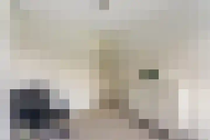 Tolhuis 6142 Nijmegen thumbnail 21