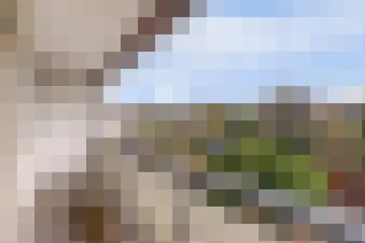Tolhuis 6142 Nijmegen thumbnail 33