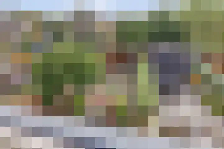 Tolhuis 6142 Nijmegen thumbnail 34