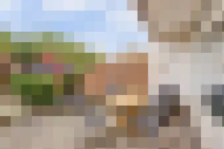 Tolhuis 6142 Nijmegen thumbnail 37