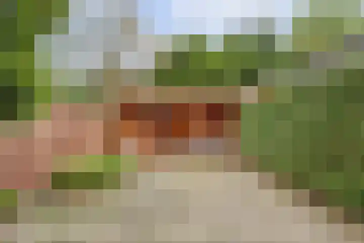 Tolhuis 6142 Nijmegen thumbnail 40