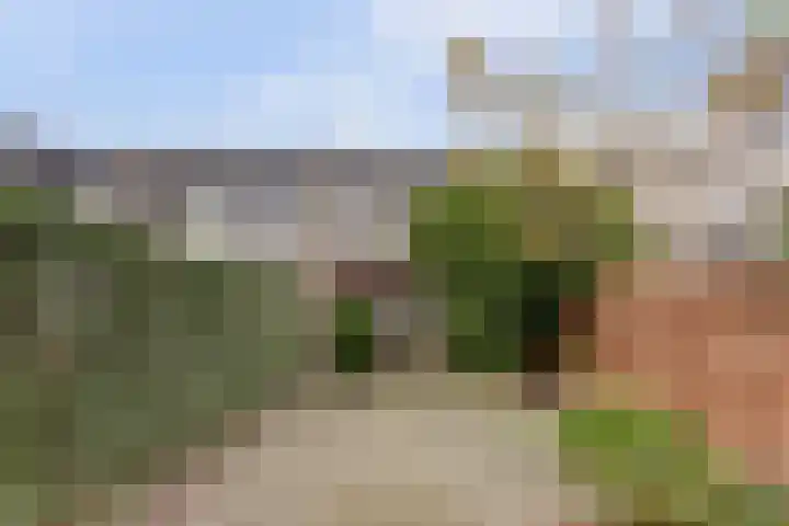 Tolhuis 6142 Nijmegen thumbnail 42