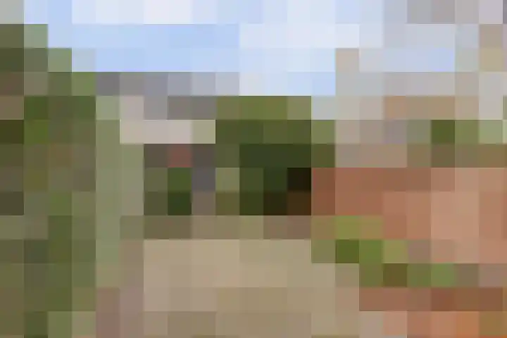 Tolhuis 6142 Nijmegen thumbnail 43