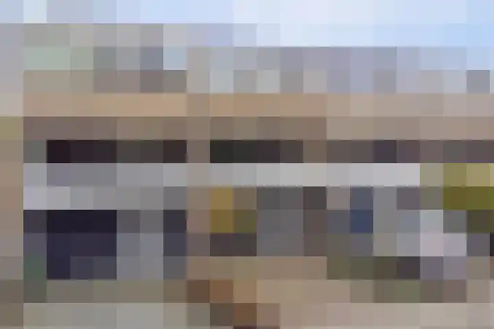 Tolhuis 6142 Nijmegen thumbnail 44