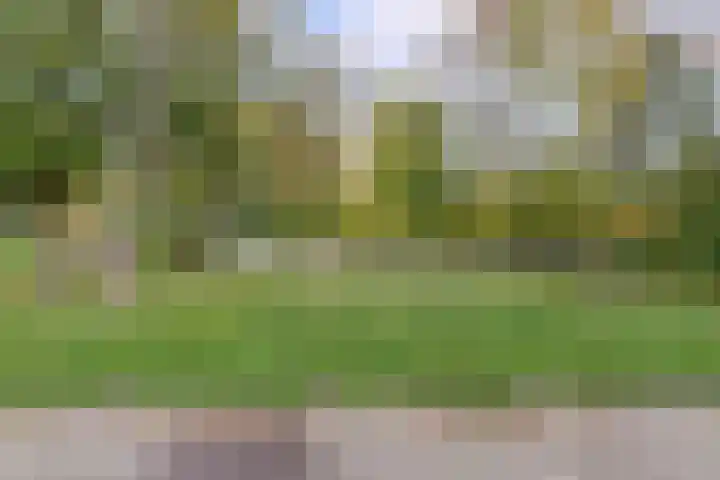 Tolhuis 6142 Nijmegen thumbnail 45