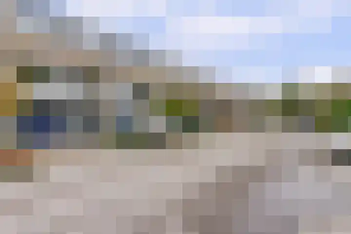 Tolhuis 6142 Nijmegen thumbnail 6