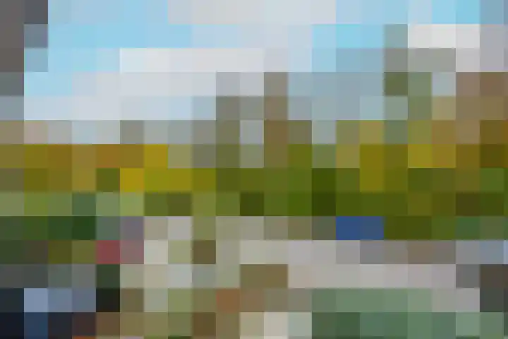 Tolhuis 6152 Nijmegen thumbnail 22