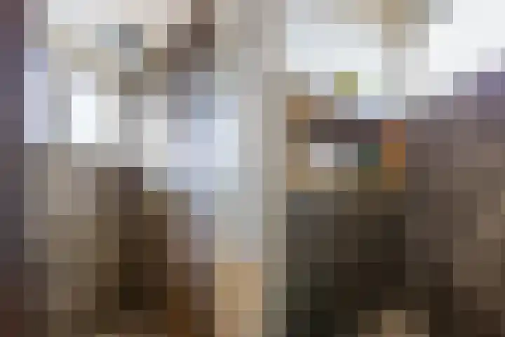 Tolhuis 6152 Nijmegen thumbnail 39