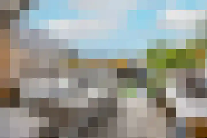 Tolhuis 6152 Nijmegen thumbnail 40