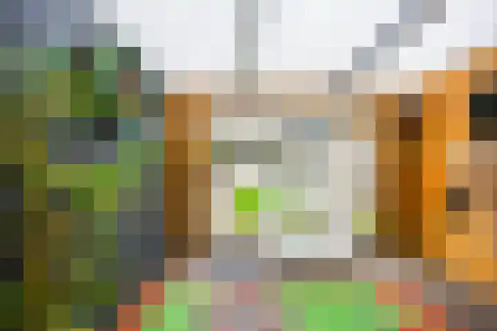 Tolhuis 6152 Nijmegen thumbnail 48