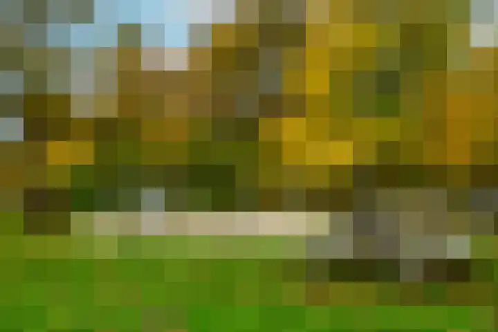 Tolhuis 6152 Nijmegen thumbnail 51