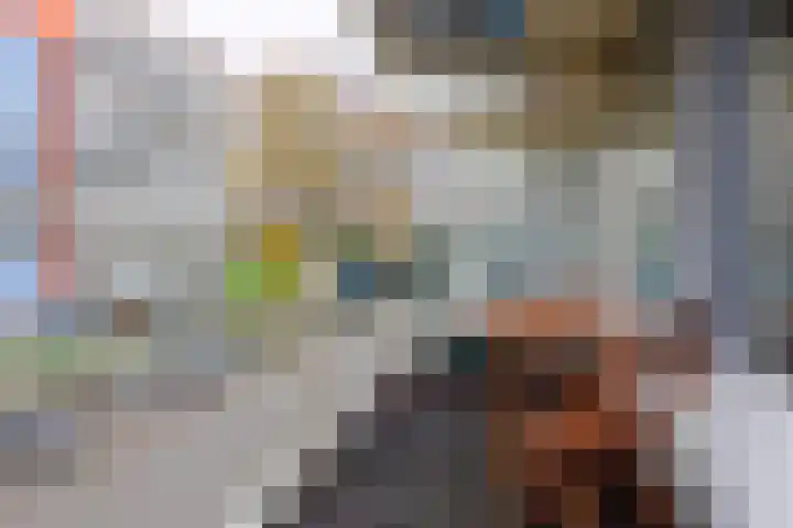 Tolhuis 6425 Nijmegen thumbnail 16