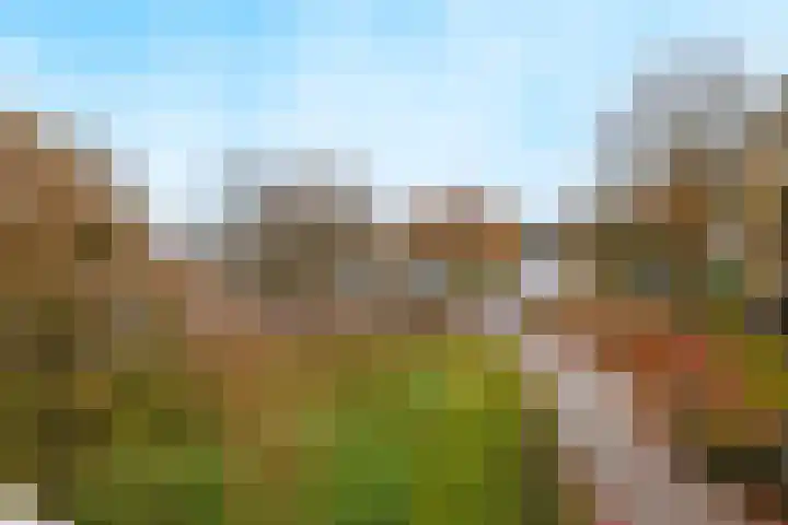 Tolhuis 6425 Nijmegen thumbnail 18