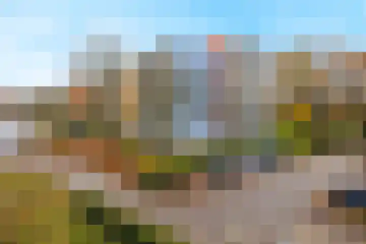 Tolhuis 6425 Nijmegen thumbnail 19