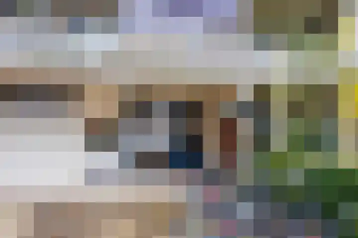 Tolhuis 6425 Nijmegen thumbnail 5