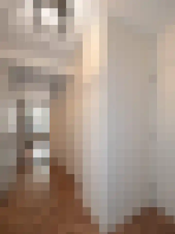 Tolhuis 6625 Nijmegen thumbnail 14