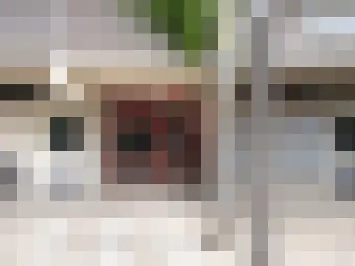 Tolhuis 6625 Nijmegen thumbnail 18