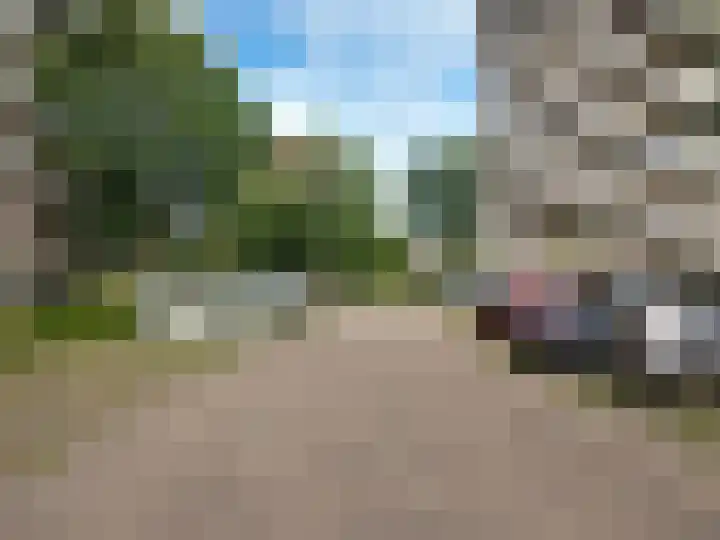 Tolhuis 6625 Nijmegen thumbnail 19
