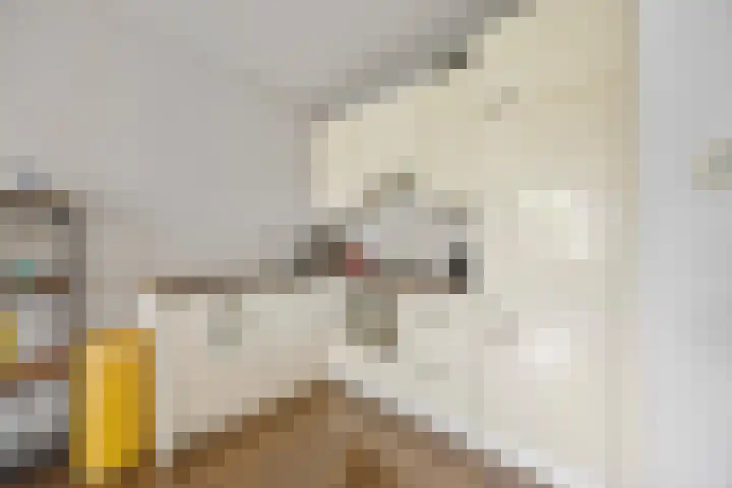 Tolhuis 6646 Nijmegen thumbnail 8